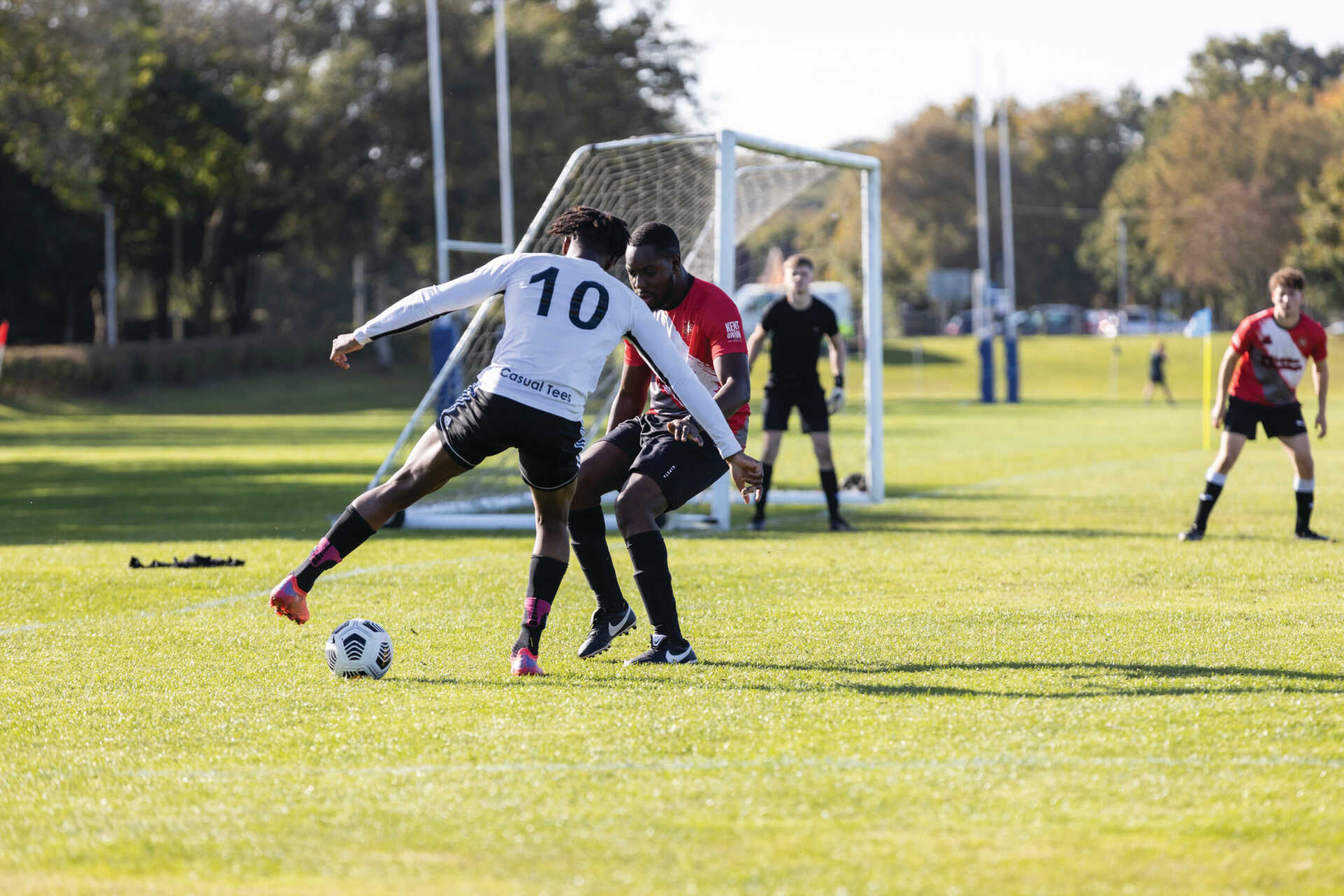 了活力和激 了活力和激